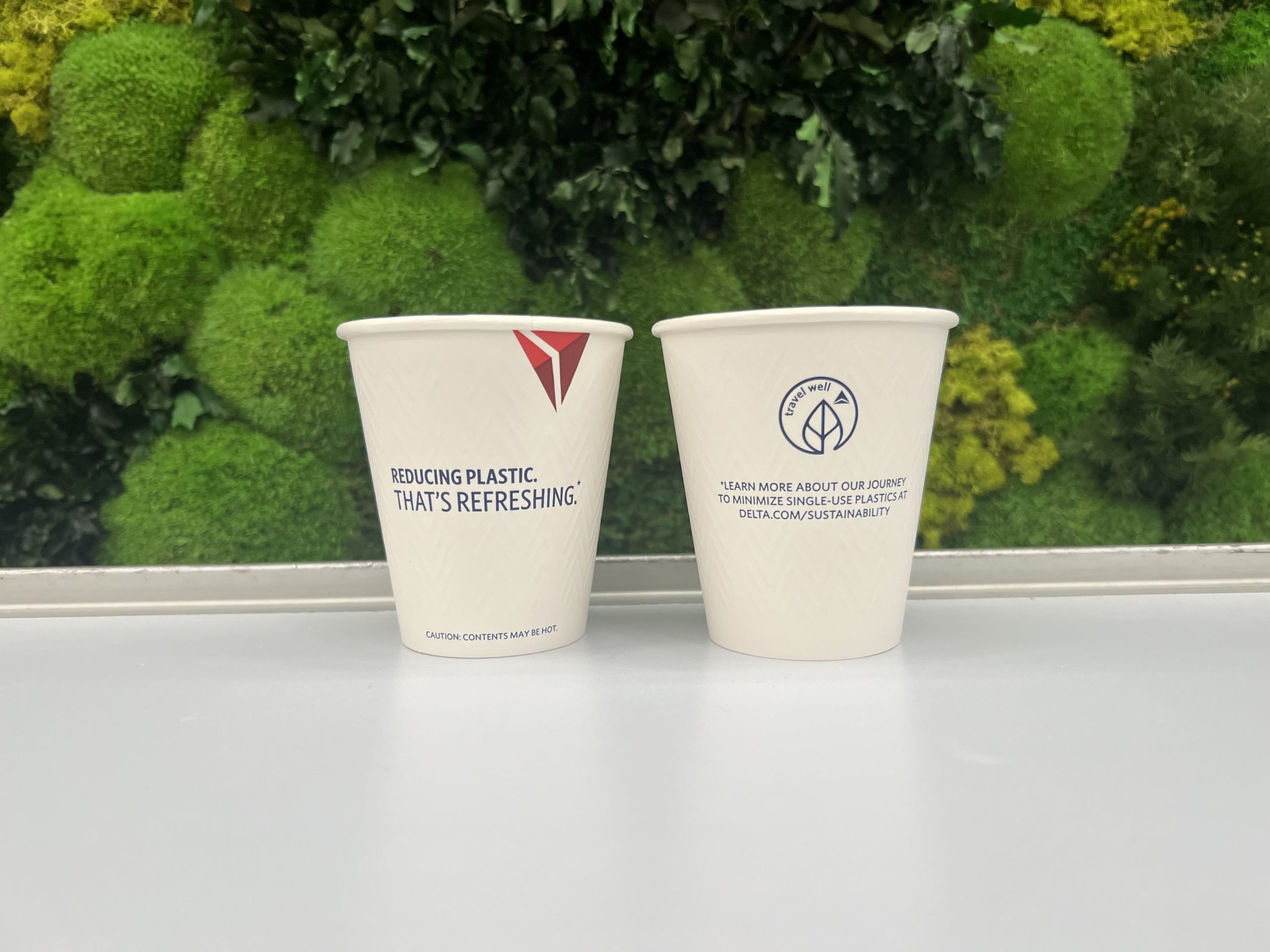 Delta’s Sustainable Stride: Eliminating 7 Million Pounds of Single-Use Plastic – By Daisy BARRO